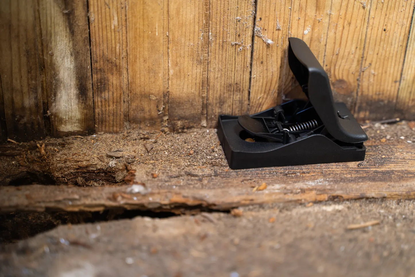 Trinol Powercat Musefelle med Åte, 2-pk